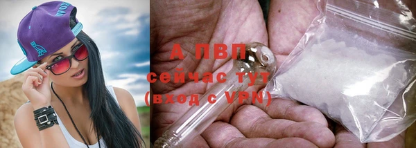 прущий лед Арсеньев