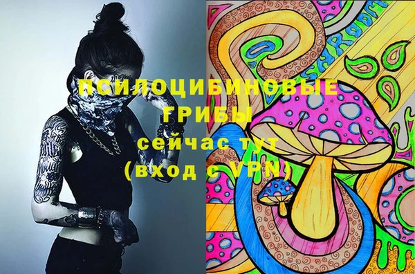 прущий лед Арсеньев