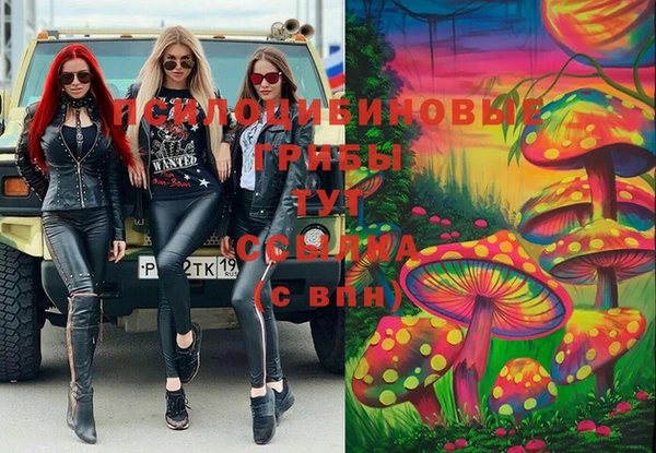 spice Армянск