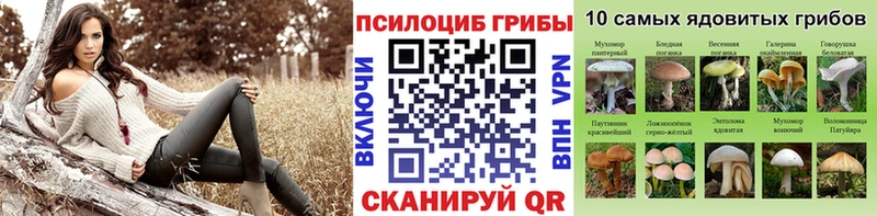 Галлюциногенные грибы Magic Shrooms  Мончегорск 