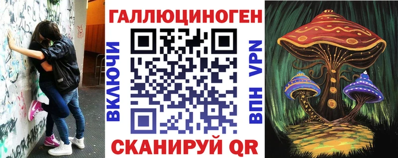 Псилоцибиновые грибы Psilocybe Мончегорск